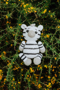 The Zebra